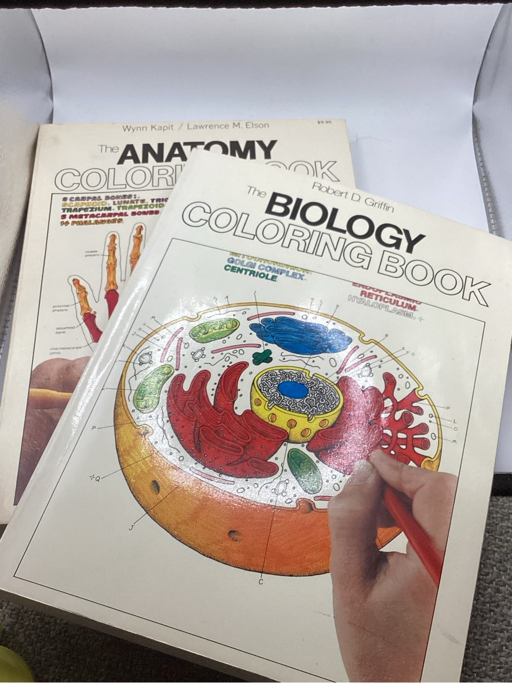 Adult Vtg Anatomy & Biology Coloring Books Study AIDS
